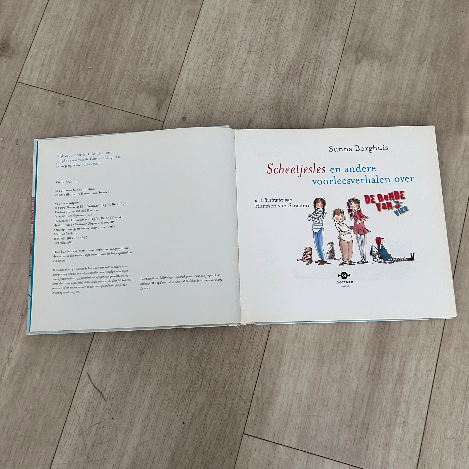 Scheetjesles en andere voorleesverhalen over De Bende van Vier – Sunna Borghuis | Hardcover – photo 5